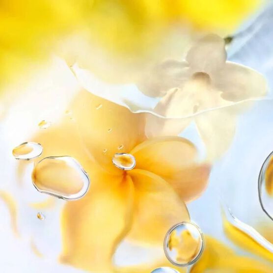 Perfume Lanc&ocirc;me &Ocirc; Zenith Feminino Eau de Toilette